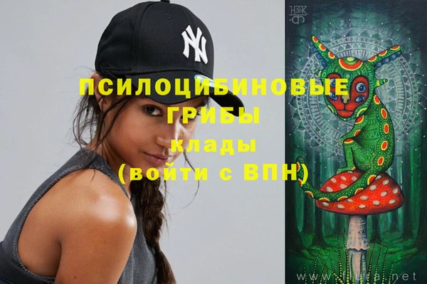 не бодяженный Абаза