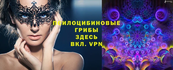 таблы Алексин