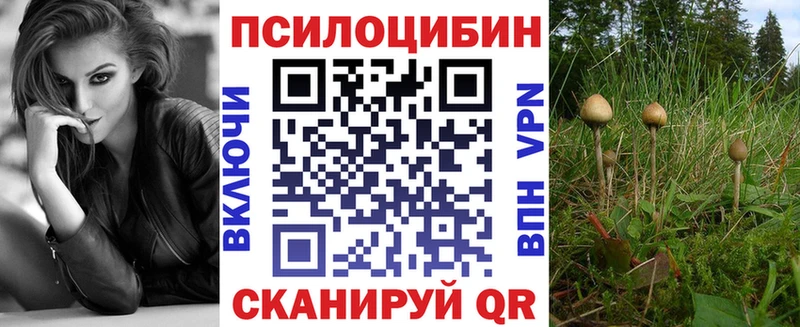 Галлюциногенные грибы Cubensis Дмитровск
